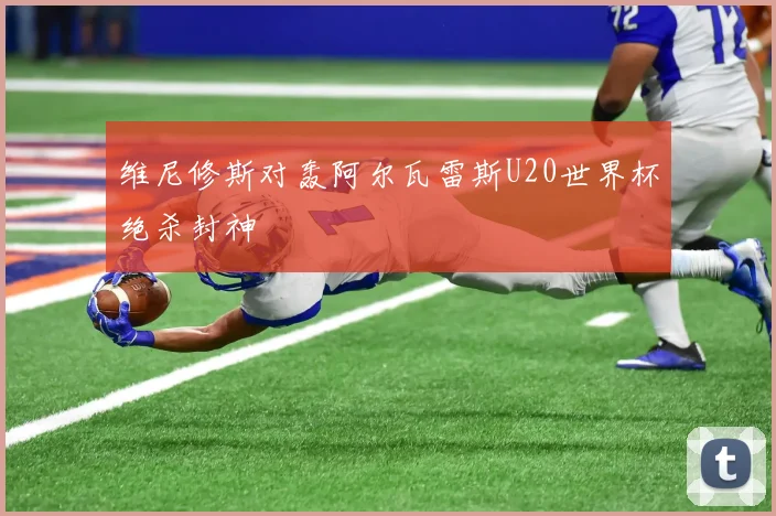 维尼修斯对轰阿尔瓦雷斯U20世界杯绝杀封神