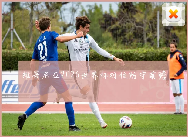 维蒂尼亚2026世界杯对位防守前瞻