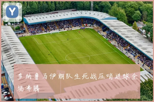 多纳鲁马伊朗队生死战压哨进球全场沸腾