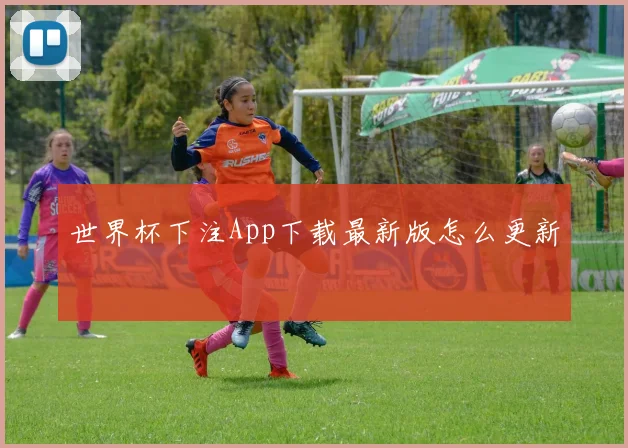 世界杯下注App下载最新版怎么更新