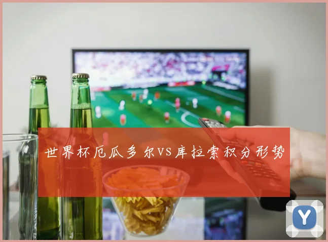 世界杯厄瓜多尔vs库拉索积分形势