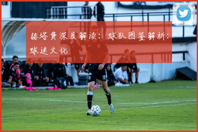 赫塔费深度解读:球队图鉴解析:球迷文化