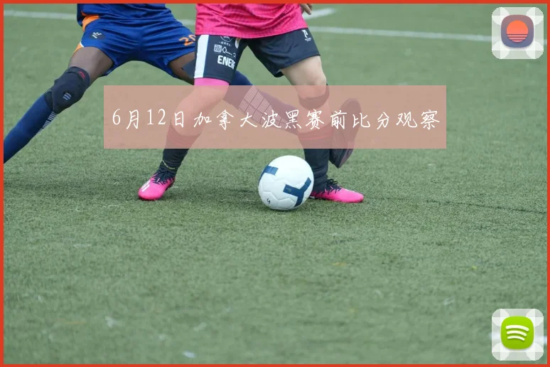 6月12日加拿大波黑赛前比分观察