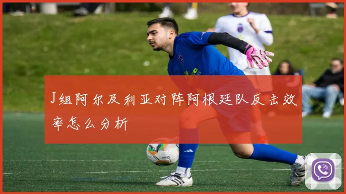 J组阿尔及利亚对阵阿根廷队反击效率怎么分析