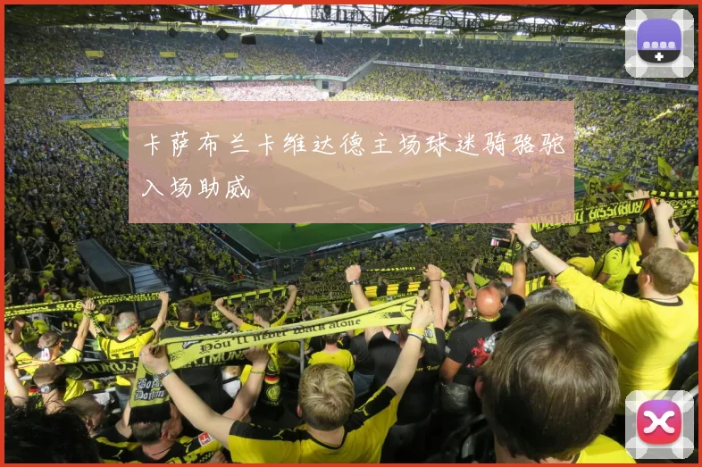 卡萨布兰卡维达德主场球迷骑骆驼入场助威